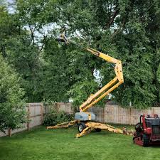 Seasonal Cleanup (Spring/Fall) in Farley, KY