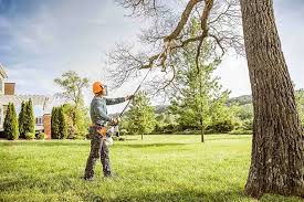Best Soil Testing and Treatment  in Farley, KY