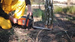 Best Lawn Watering Services  in Farley, KY
