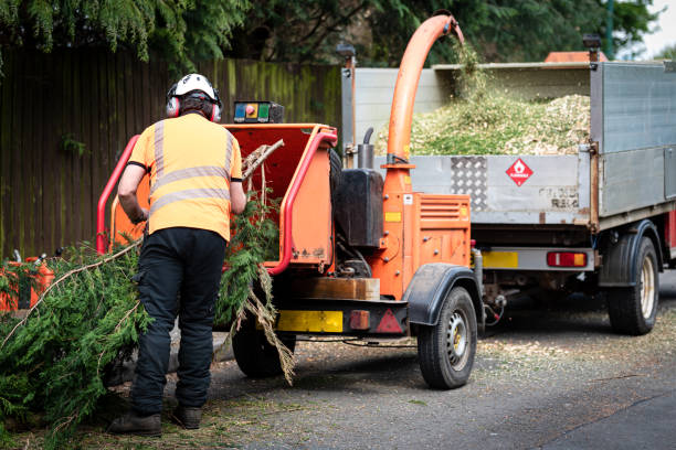 Best Hazardous Tree Removal  in Farley, KY
