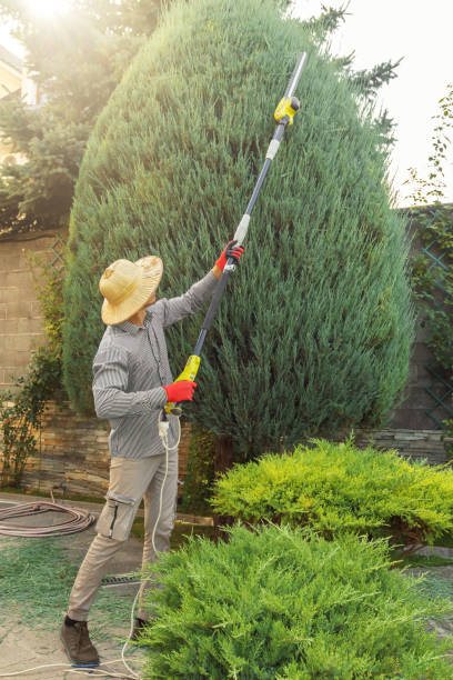 Best Tree Mulching  in Farley, KY