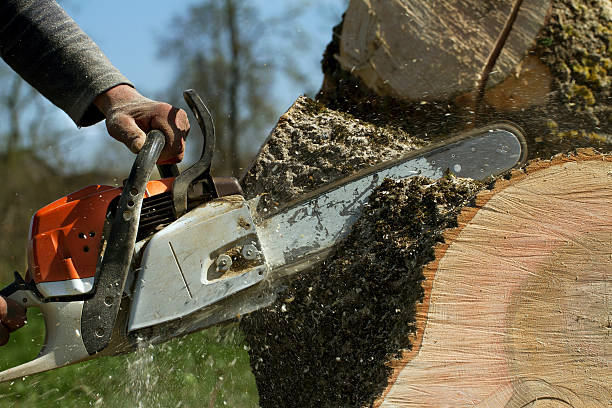 Mulching Services in Farley, KY